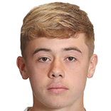 阿尔菲·麦卡蒙