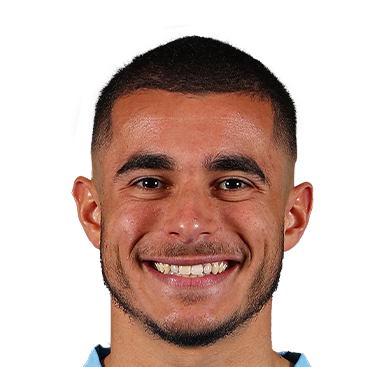 哈里·波利蒂迪斯