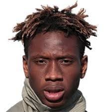 马马杜·卡利·塞内