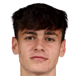 尼科尔·皮西利