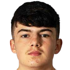 泰勒·弗雷德里克森