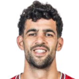 托马尔·吉纳特